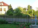 Třibřichy
